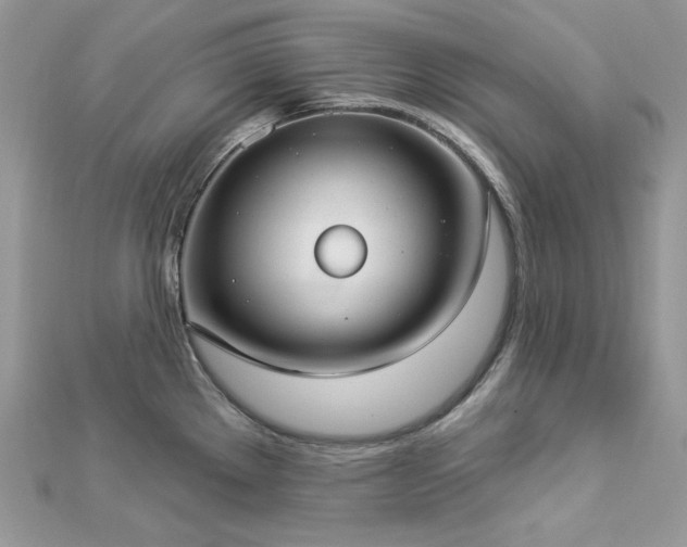 X0000112821289200908211158