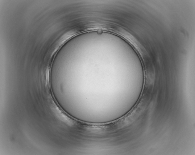 X0000112821290200908211158
