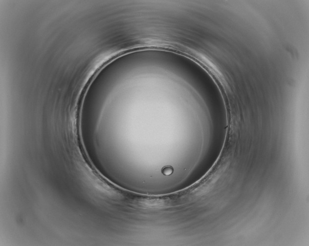 X0000112821291200908211158