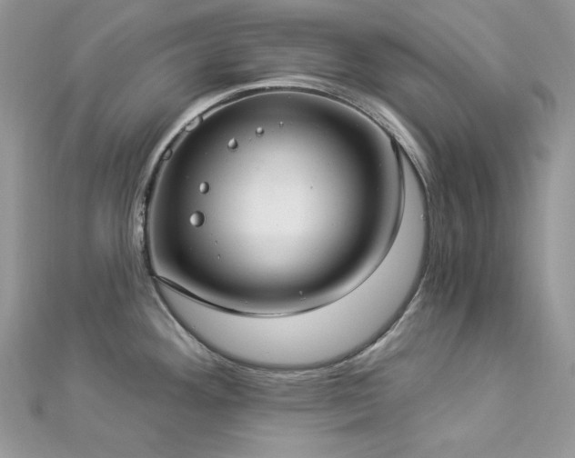X0000112821292200908211158