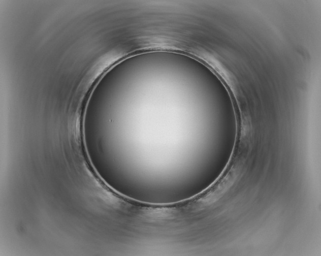 X0000112821293200908211158