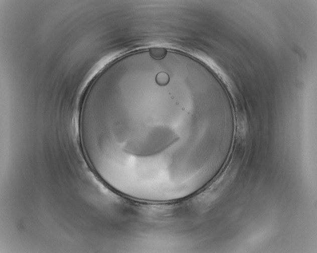 X0000112821294200908211158