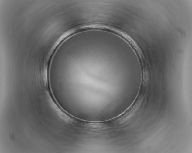 X0000112821295200908211158