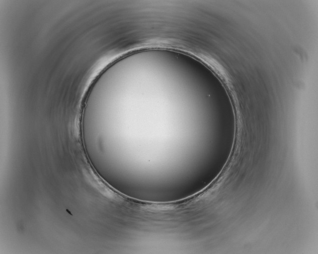 X0000112821296200908211158