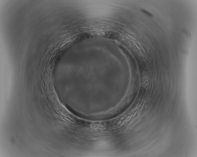 X0000112821297200908211157