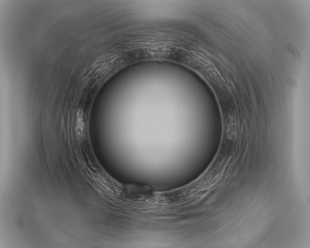 X0000112821298200908211157