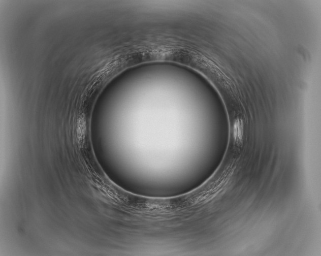 X0000112821299200908211157