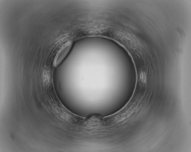 X0000112821300200908211157
