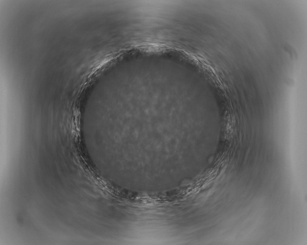 X0000112821301200908211157
