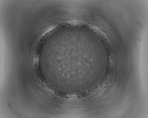X0000112821302200908211157