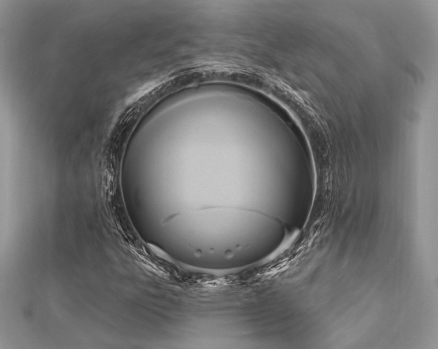 X0000112821303200908211157