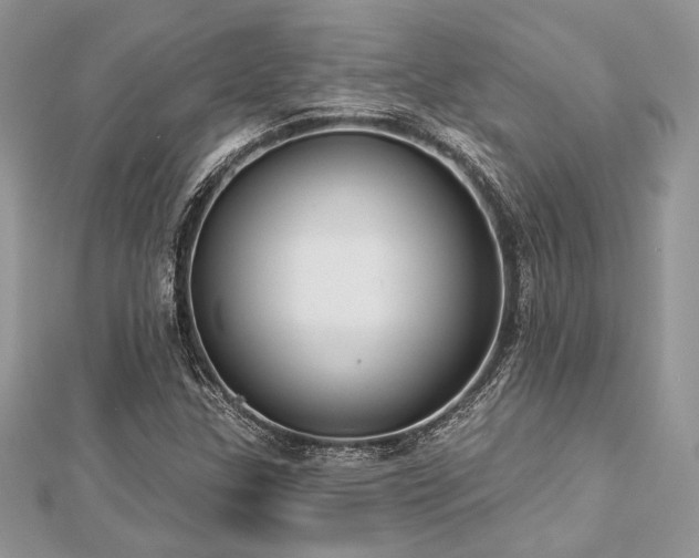 X0000112821307200908211157