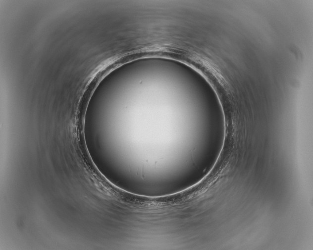 X0000112821308200908211157