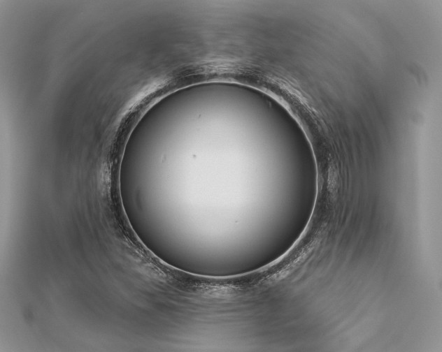 X0000112821309200908211157