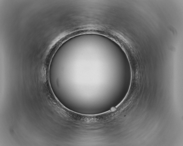 X0000112821310200908211157