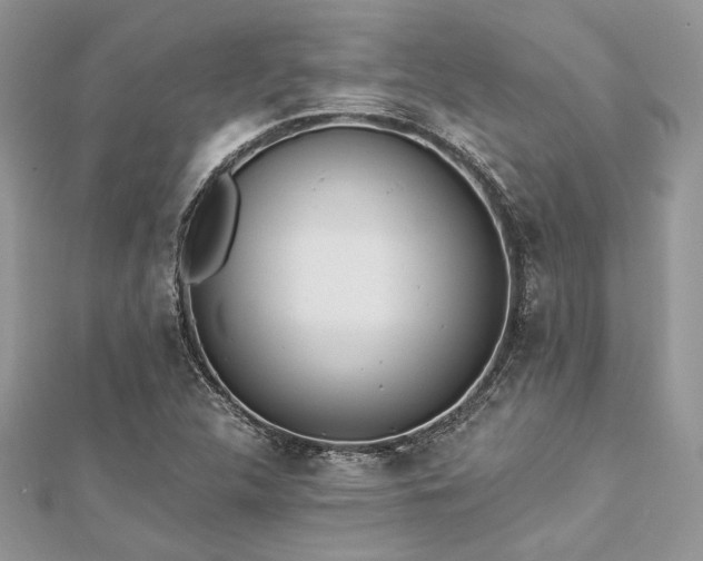 X0000112821312200908211157