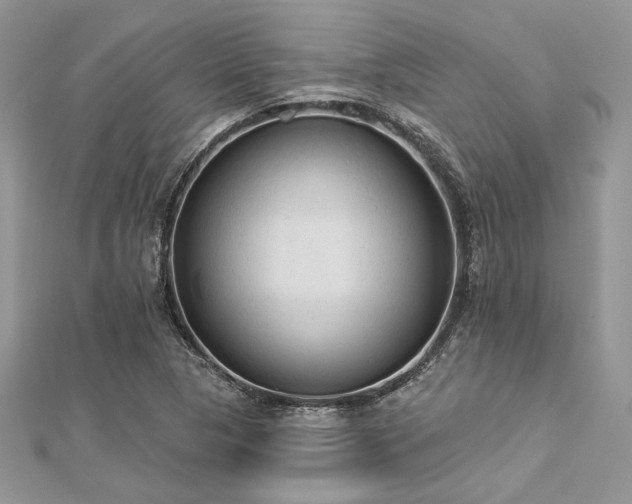 X0000112821313200908211157