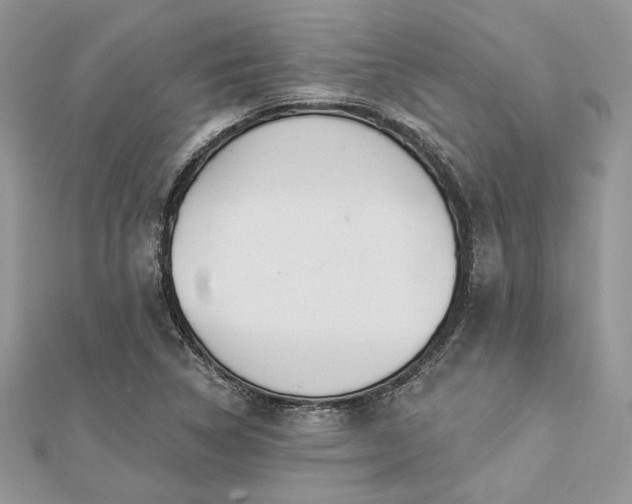X0000112821314200908211157