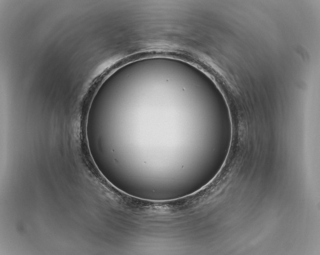 X0000112821315200908211157