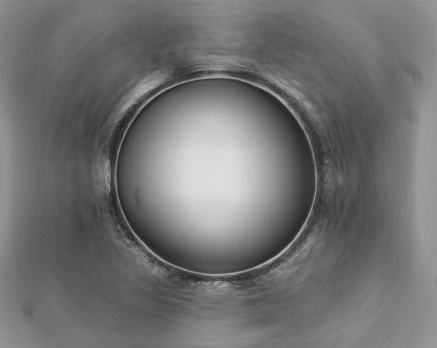 X0000112821317200908211157
