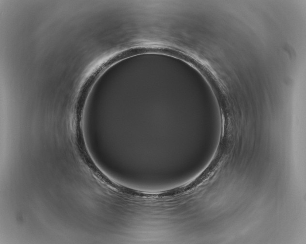 X0000112821319200908211157