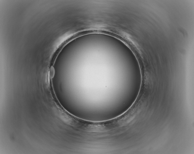 X0000112821320200908211157