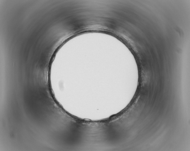 X0000112821322200908211157