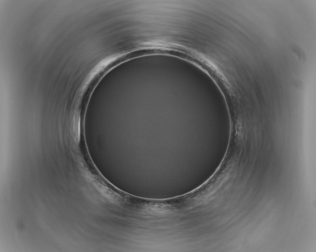X0000112821323200908211157