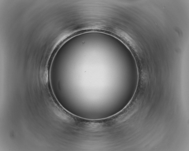 X0000112821324200908211157