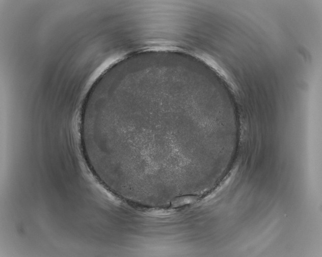 X0000112821325200908211157