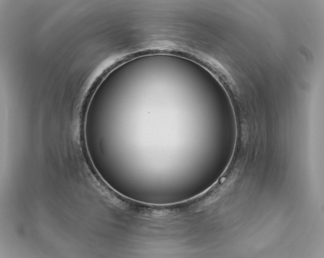 X0000112821326200908211157