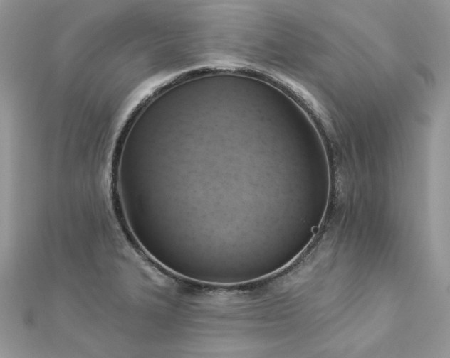 X0000112821327200908211157
