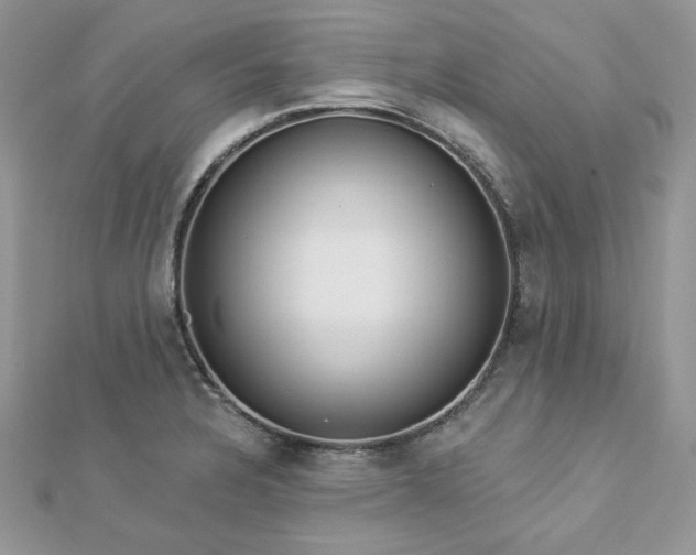 X0000112821328200908211157