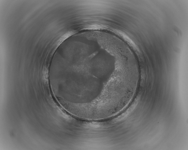 X0000112821329200908211157