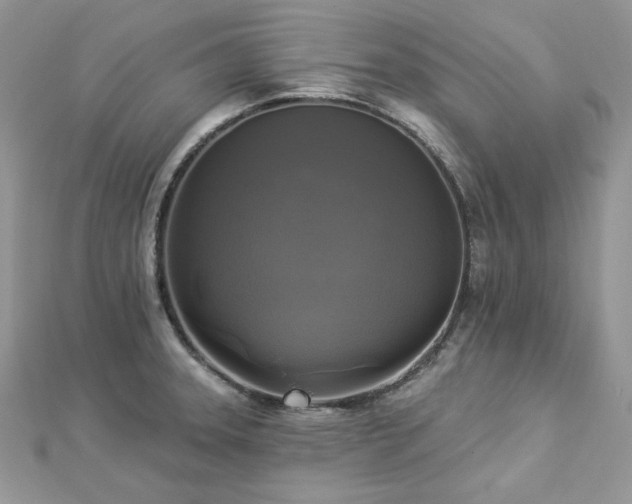 X0000112821331200908211157