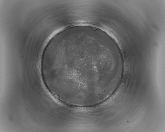 X0000112821333200908211157