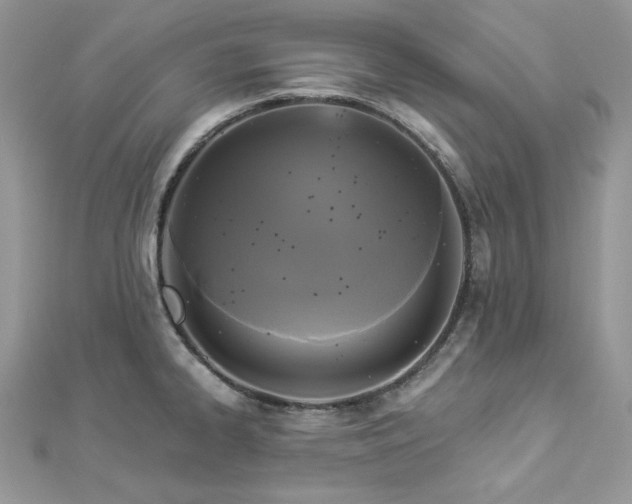 X0000112821334200908211157