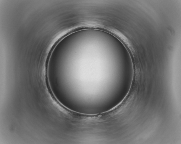X0000112821335200908211157