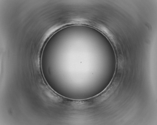 X0000112821336200908211157