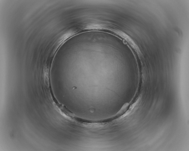 X0000112821337200908211157