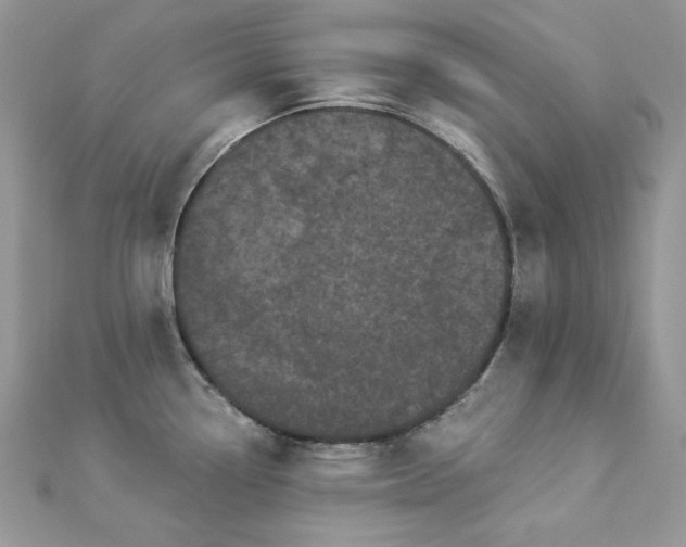 X0000112821338200908211157