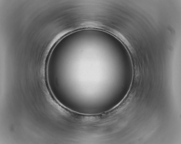 X0000112821339200908211157