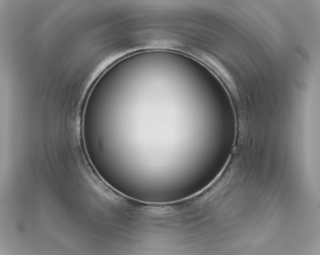 X0000112821340200908211158