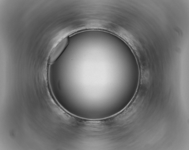 X0000112821342200908211158