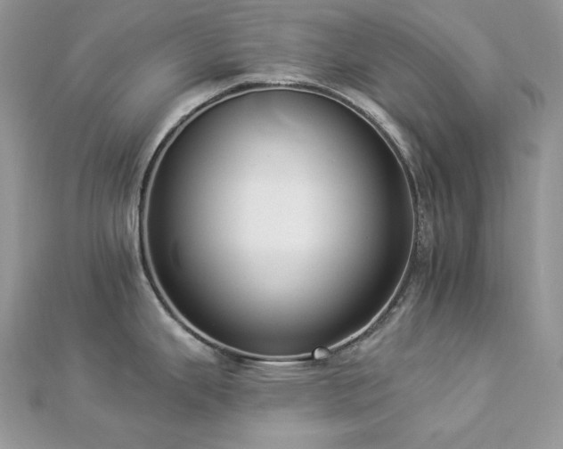 X0000112821343200908211158
