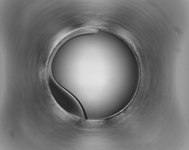 X0000112821344200908211158