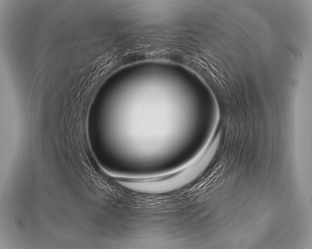 X0000112821345200908211157