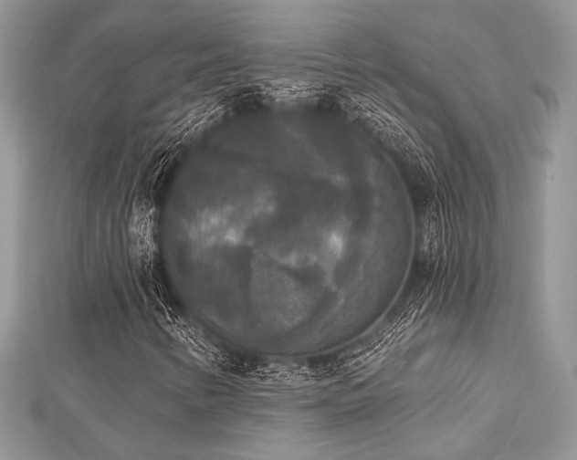 X0000112821346200908211157