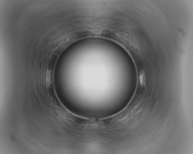 X0000112821347200908211157