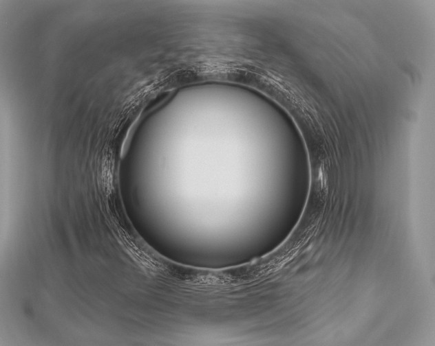 X0000112821348200908211157